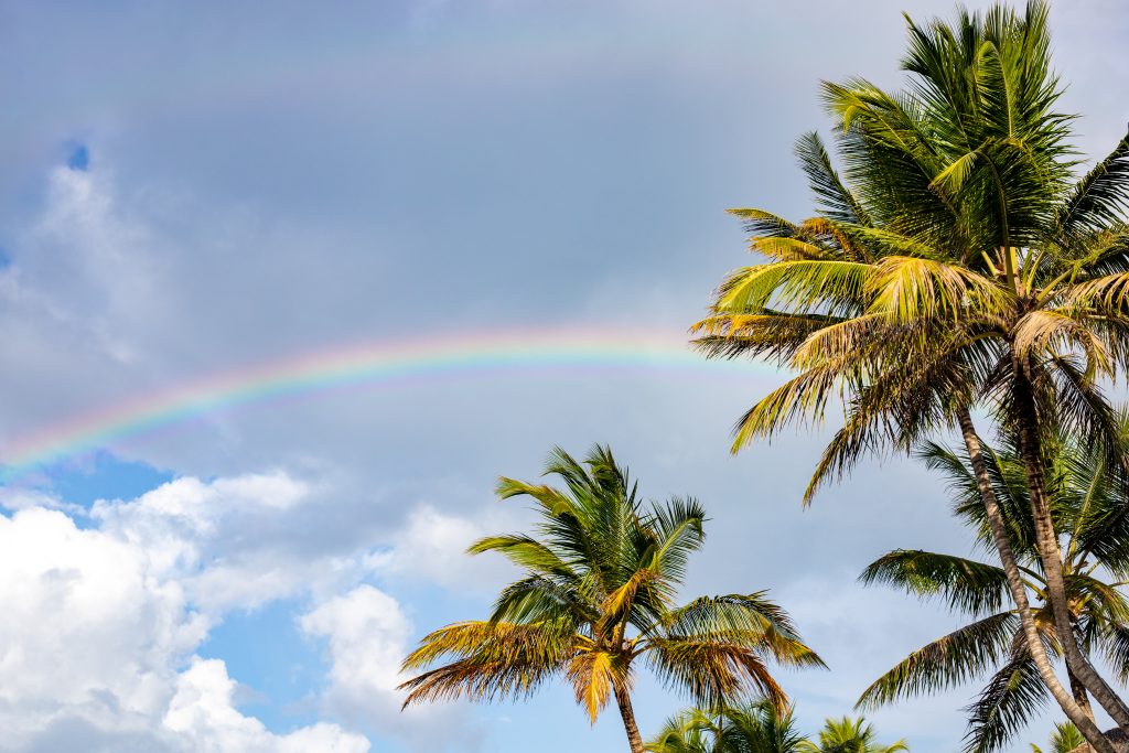 cabarete beach