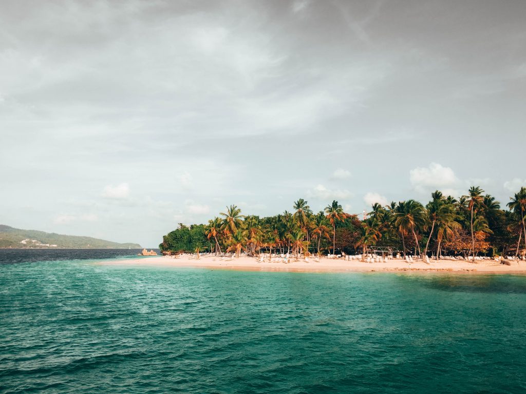 Whale Watching Spots Dominican Republic