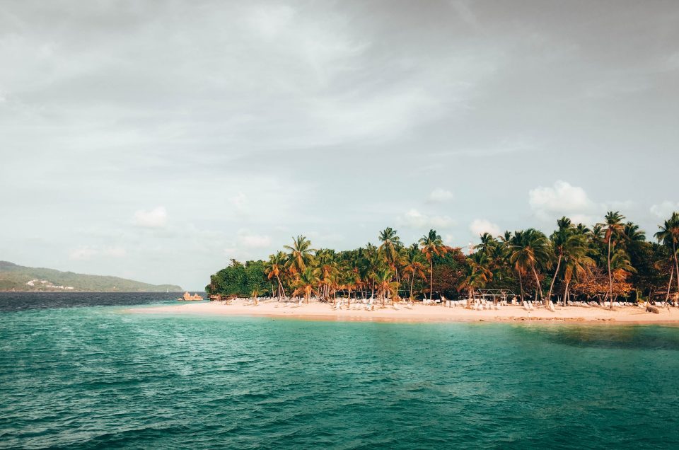 Whale Watching Spots Dominican Republic