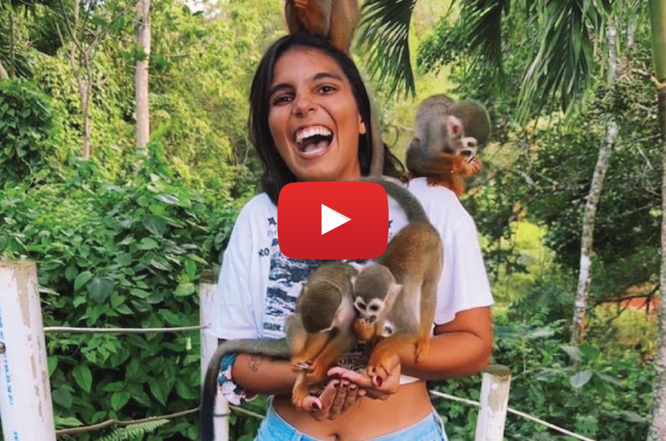 Solo Monkey Jungle Tour in Cabarete with @suamicavallo